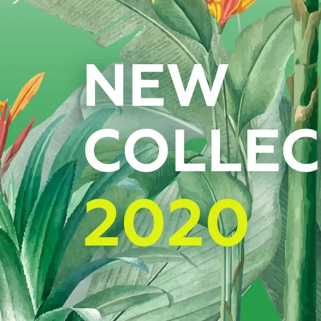 Встречайте нашу новую керамическую коллекцию из небывалых плодов дикой природы JUNGLE 1 💚✌️ #ceramics #ceramicsdesign #декор #украшениеинтерьера #homedecor #предметы #sambuldashadesign #jungle #newcollection