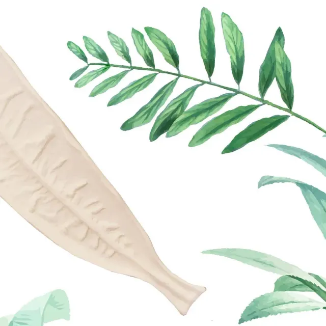 Встречайте нашу новую керамическую коллекцию из небывалых плодов дикой природы JUNGLE 1 💚✌️ #ceramics #ceramicsdesign #декор #украшениеинтерьера #homedecor #предметы #sambuldashadesign #jungle #newcollection #decorobjects #handmade #design