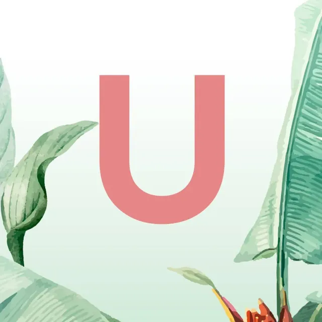 Встречайте нашу новую керамическую коллекцию из небывалых плодов дикой природы JUNGLE 1 💚✌️ #ceramics #ceramicsdesign #декор #украшениеинтерьера #homedecor #предметы #sambuldashadesign #jungle #newcollection