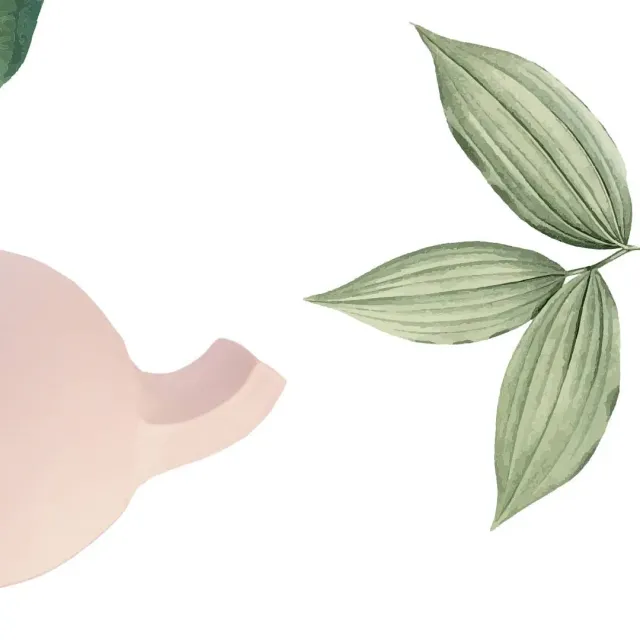 Встречайте нашу новую керамическую коллекцию из небывалых плодов дикой природы JUNGLE 1 💚✌️ #ceramics #ceramicsdesign #декор #украшениеинтерьера #homedecor #предметы #sambuldashadesign #jungle #newcollection #decorobjects #handmade #design