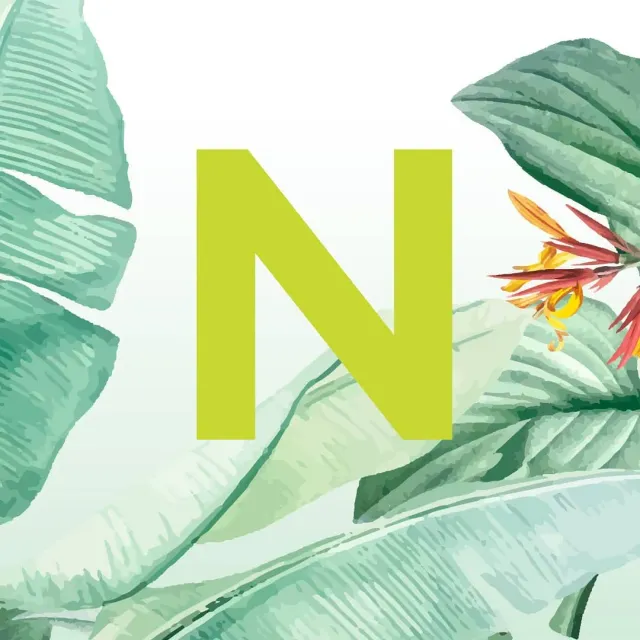 Встречайте нашу новую керамическую коллекцию из небывалых плодов дикой природы JUNGLE 1 💚✌️ #ceramics #ceramicsdesign #декор #украшениеинтерьера #homedecor #предметы #sambuldashadesign #jungle #newcollection