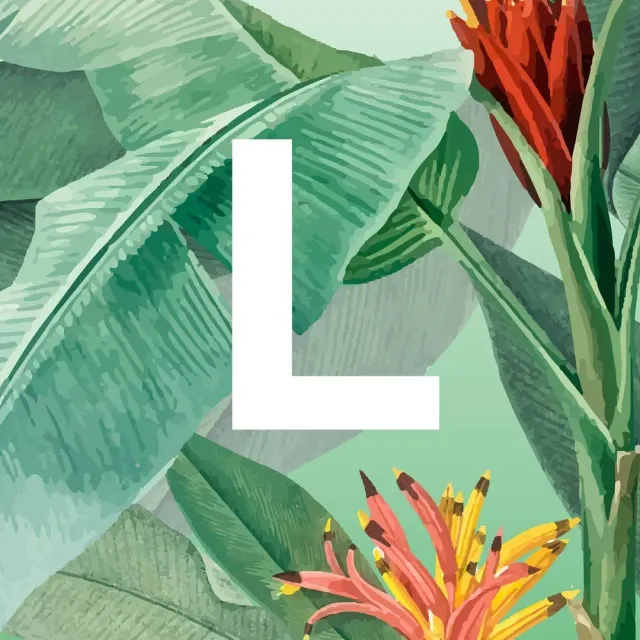 Встречайте нашу новую керамическую коллекцию из небывалых плодов дикой природы JUNGLE 1 💚✌️ #ceramics #ceramicsdesign #декор #украшениеинтерьера #homedecor #предметы #sambuldashadesign #jungle #newcollection