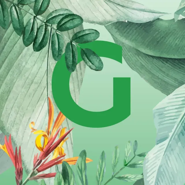 Встречайте нашу новую керамическую коллекцию из небывалых плодов дикой природы JUNGLE 1 💚✌️ #ceramics #ceramicsdesign #декор #украшениеинтерьера #homedecor #предметы #sambuldashadesign #jungle #newcollection