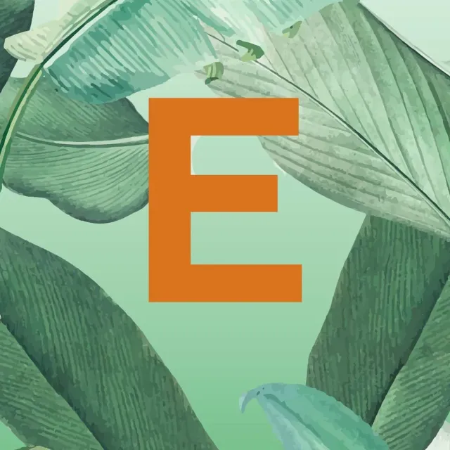 Встречайте нашу новую керамическую коллекцию из небывалых плодов дикой природы JUNGLE 1 💚✌️ #ceramics #ceramicsdesign #декор #украшениеинтерьера #homedecor #предметы #sambuldashadesign #jungle #newcollection