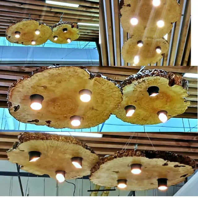 СВЕТИЛЬНИКИ,ЛЮСТРЫ,ИЗ ИЗ СПИЛОВ,СЛЭБОВ,РАЗНЫХ ПОРОД ДЕРЕВЬЕВ,ФОРМ И РАЗМЕРОВ,В НАЛИЧИИ И НА ЗАКАЗ....💫💫💫💫
#masterkoren52 #подарок #спилы #столы #стулья #мозаика #массив #мебель #можевельник #дерево #дизайн #дом #дуб #кап #круто #корнепластика #рустика #часы#архитектура#нижнийновгород#эксклюзив#интерьер #люстра#корень#капакорень#слэбы#панно#мебельлофт#деревяннаямозаика