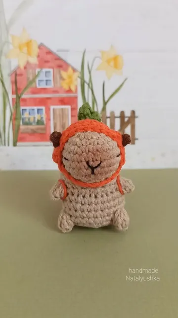 Soft toy Capybara

5 cm. (2")

#capybara #crochettoy #handmadecapybara #capybaralove #capy