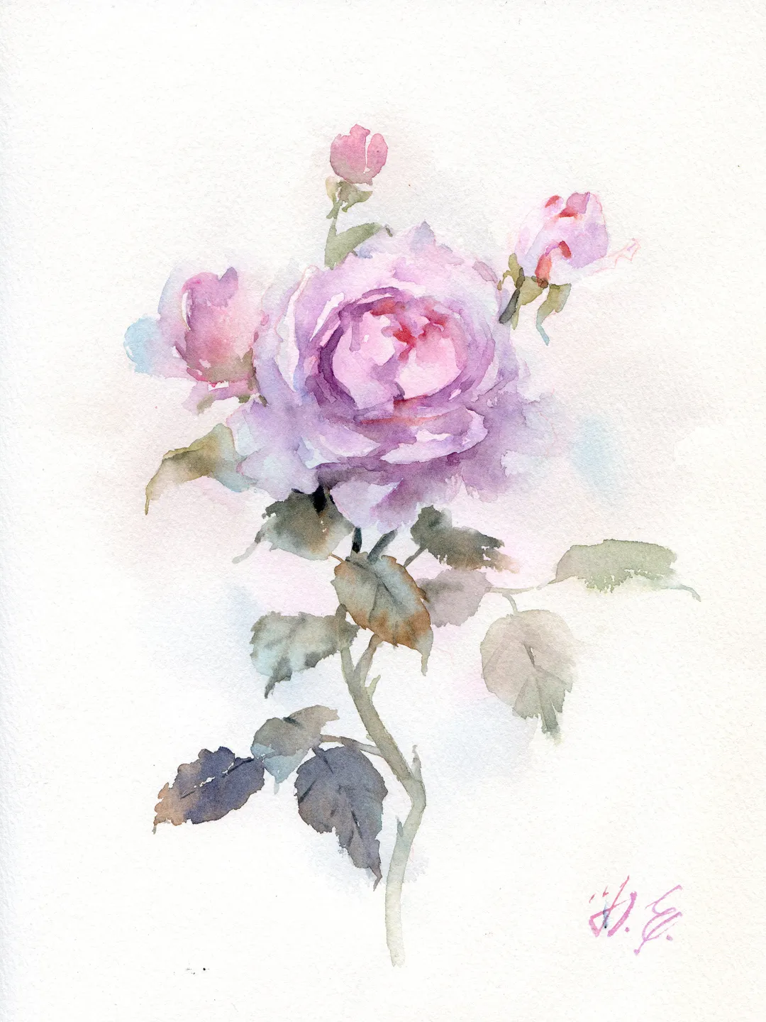 Rose in watercolor / Original art of flower