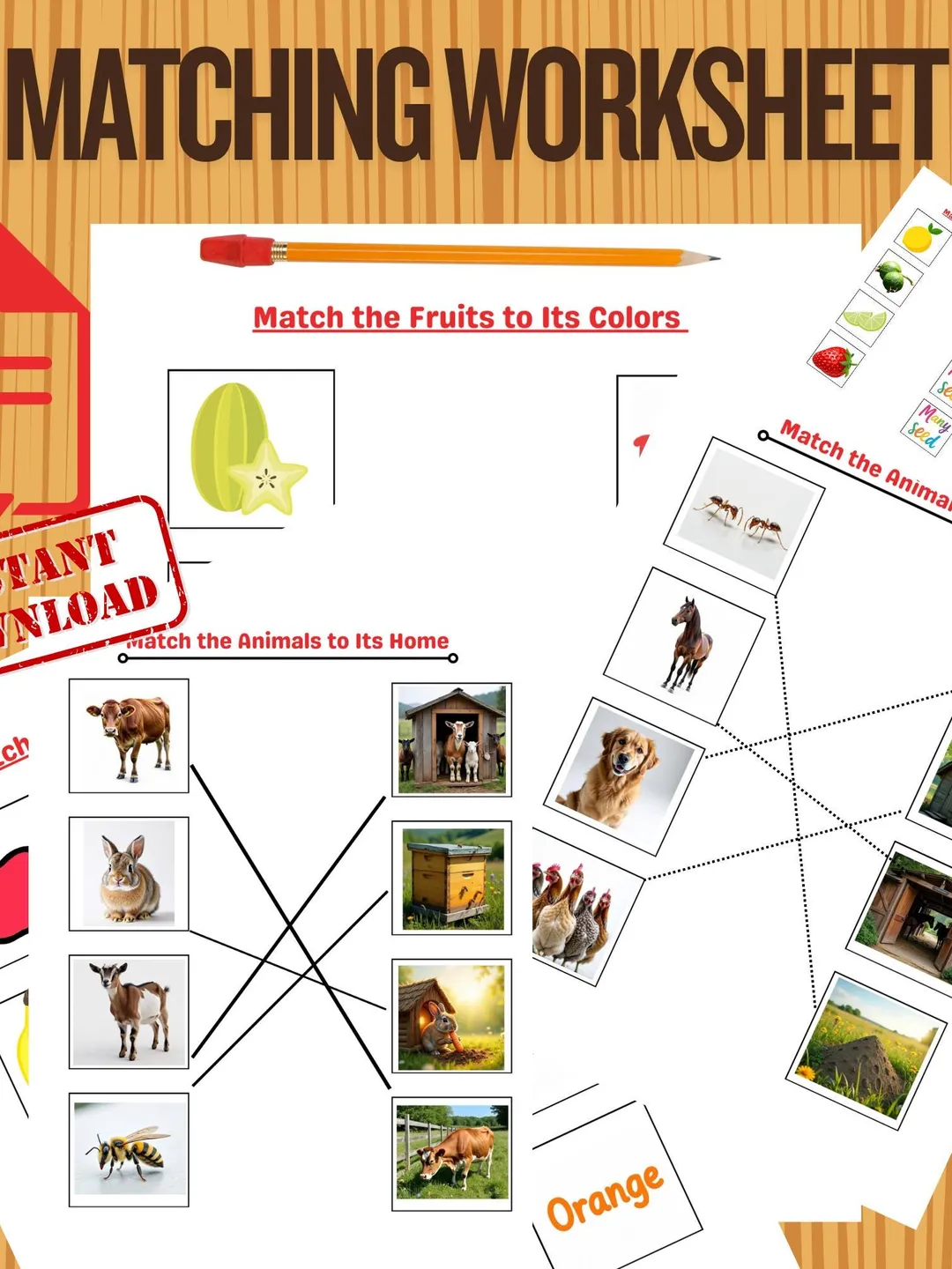 The Exotic Rissole Worksheets.pdf Match the Fruits to Their Colors Worksheet | Exotic Fruit Color ...