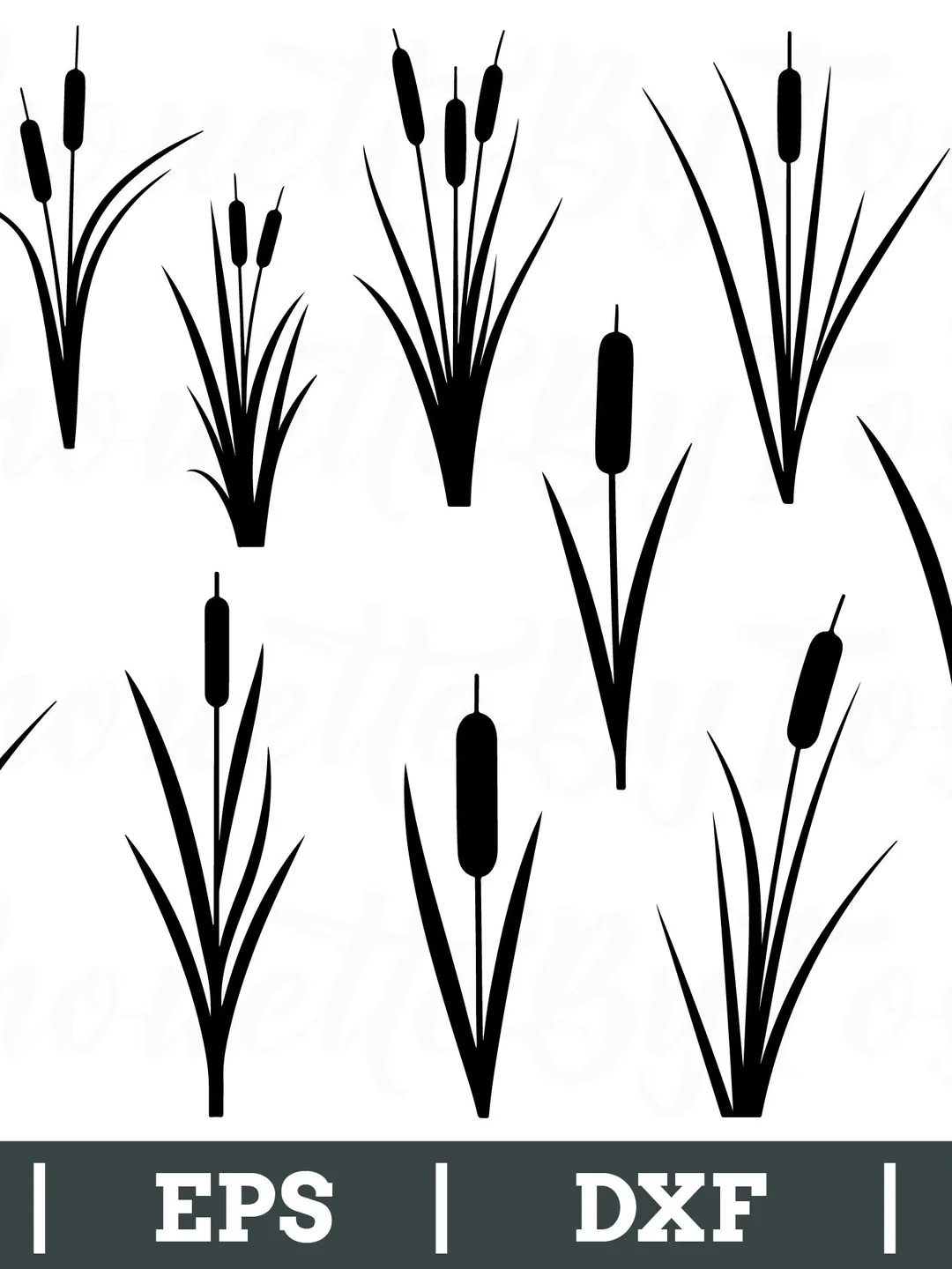 Cattail Svg, Cattail Silhouette, Cattail Vector, Cattail Cut File, Dxf, Png