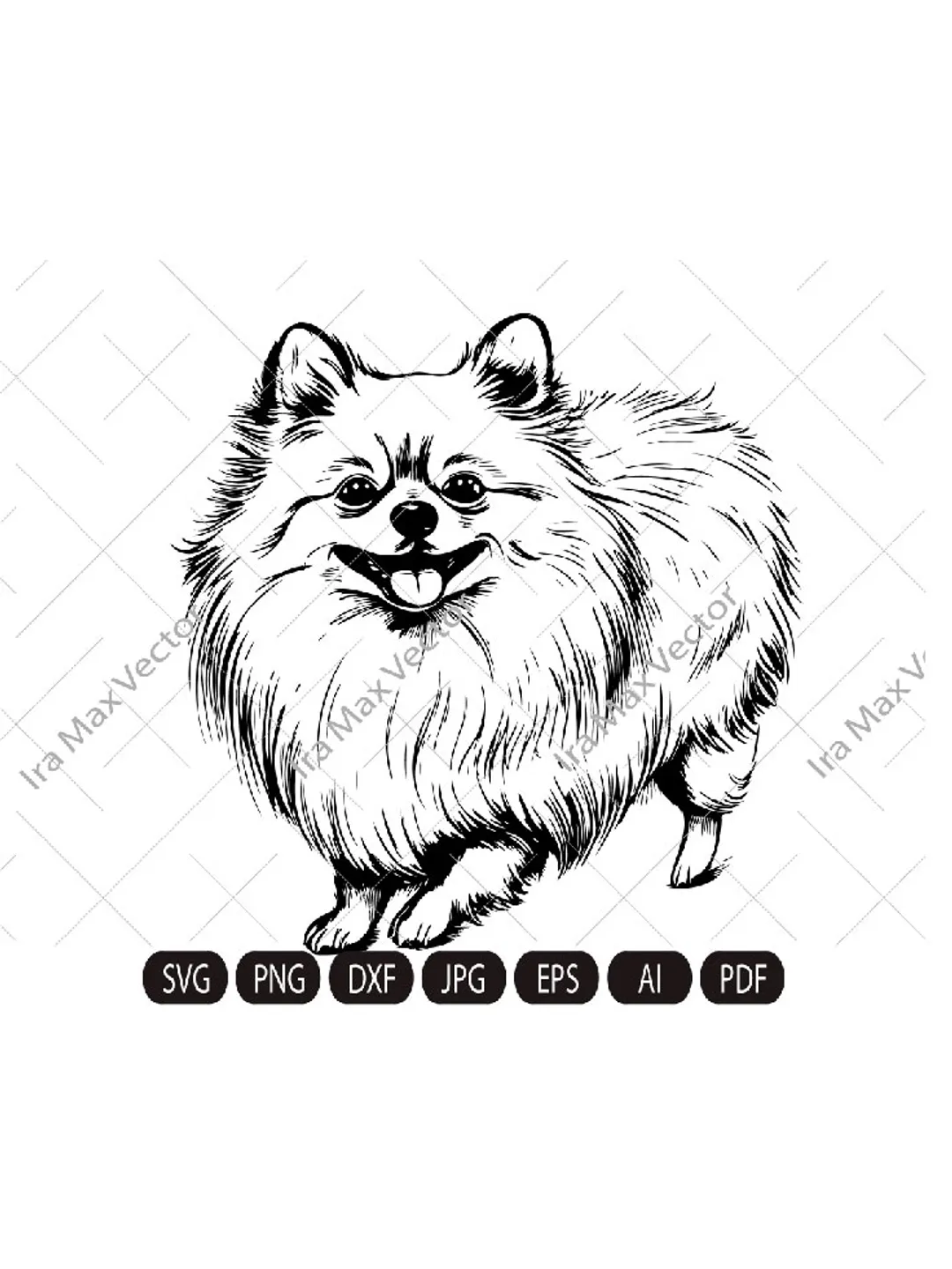Pomeranian spitz dog svg,Spitz clip art, Smiling dog vector graphic art, Pomeranian spitz detailed, Spitz standing,White Spitz