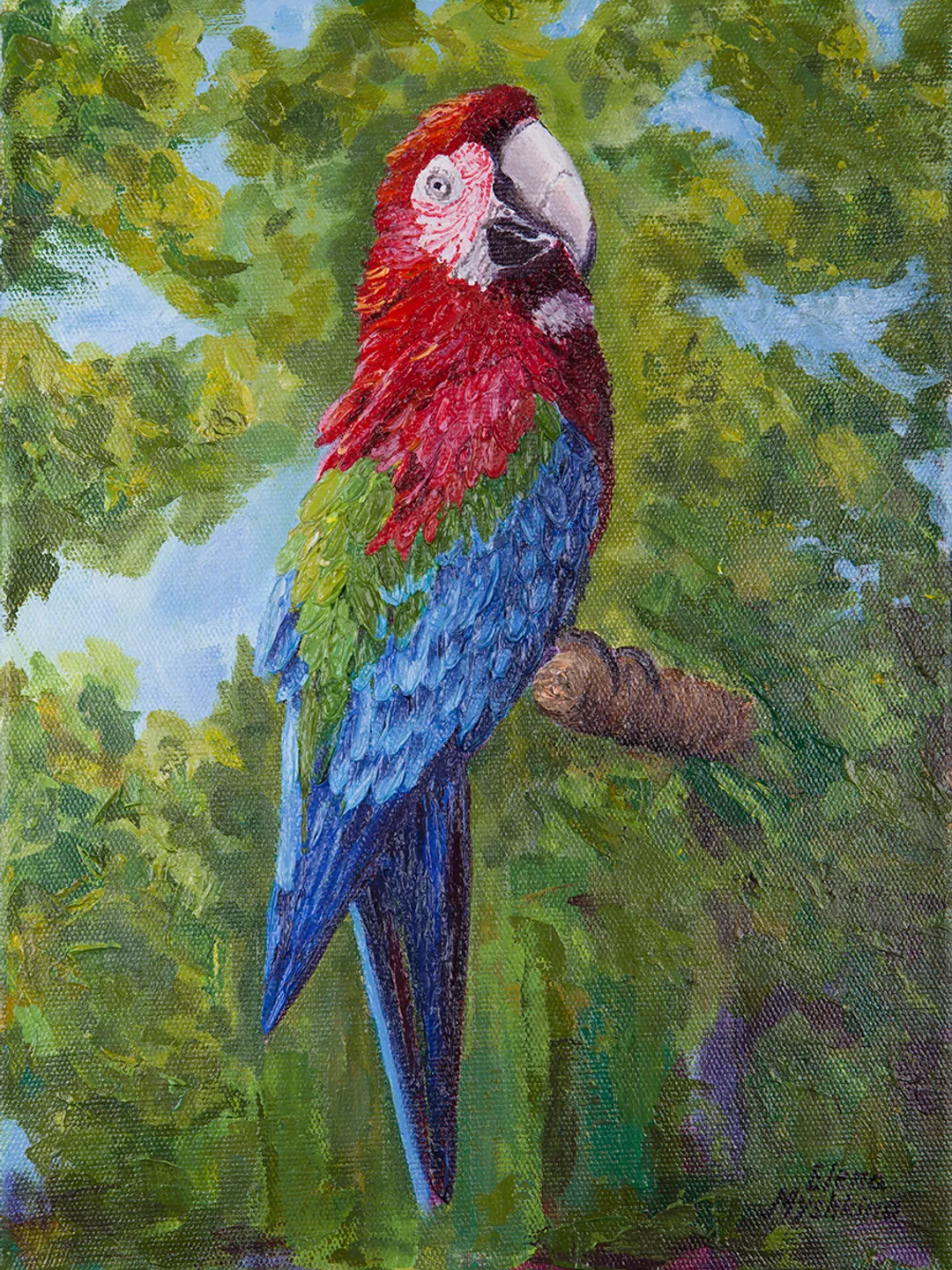 Digital product parrot painting, Parrot poster, Bird picture, Parrot picture, Brightly colored bird