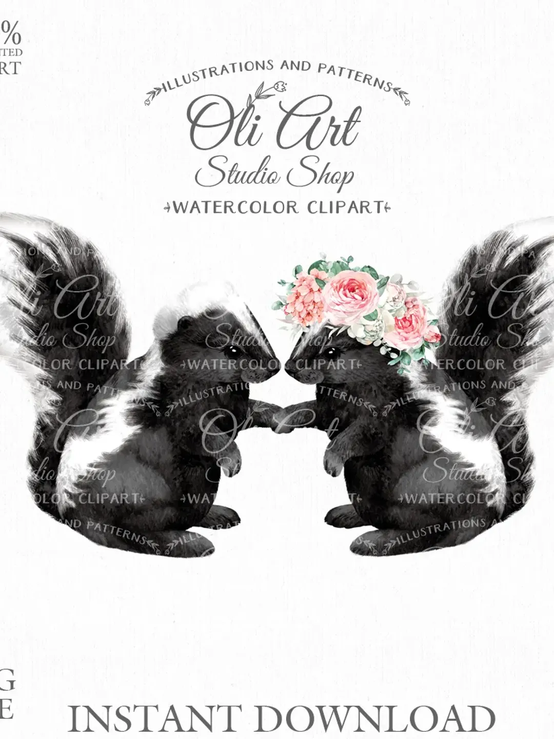 Skunks Clip Art. Png File, Hand Drawn graphics. Digital Download. OliArtStudioShop