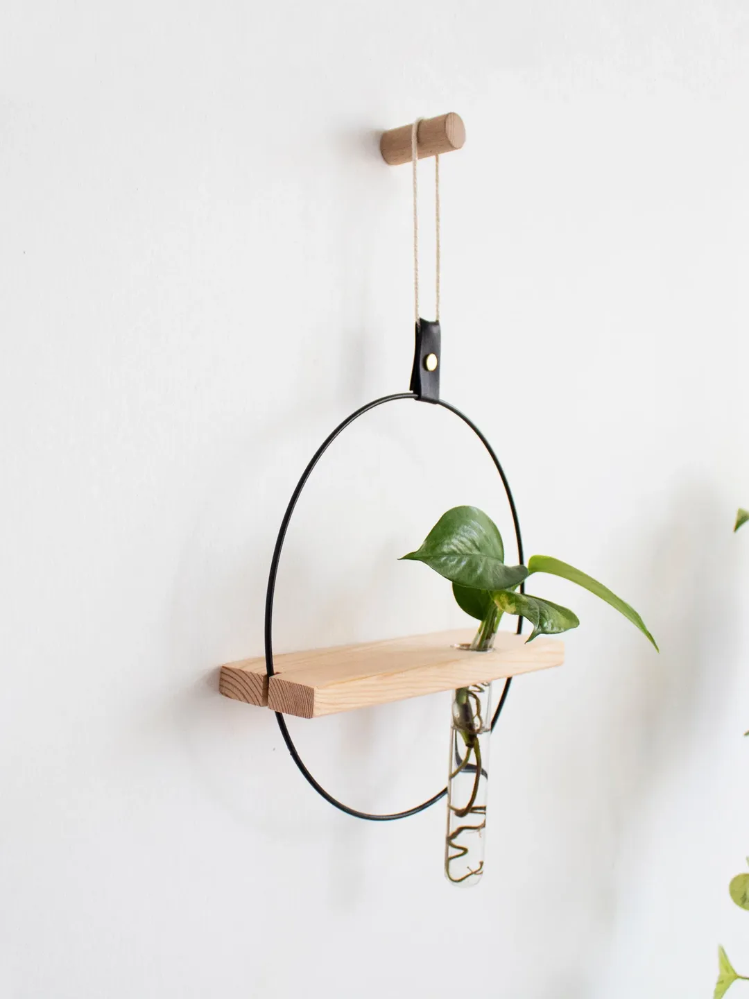 Propagation Station Wall, Plant Propagation Wall Hanging, Test Tube Planter, Propagating Plants, Wall Hanging Propagation Station