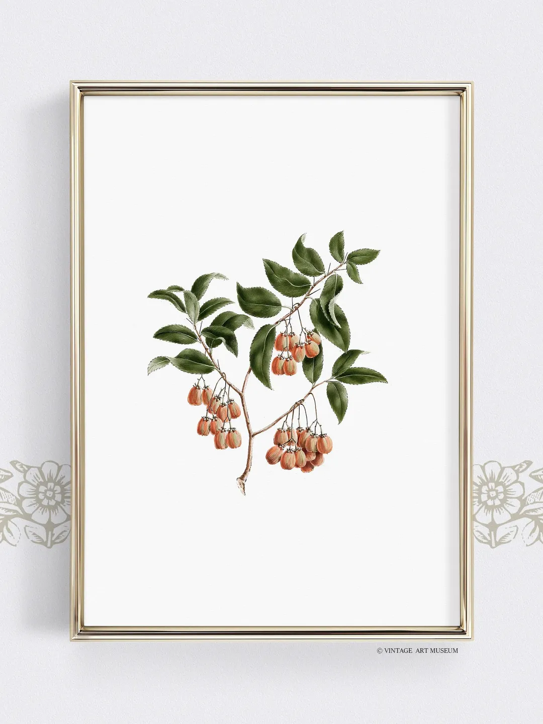 Antique Botanical Wall Art Vintage Print, Plant Painting Printable, Digital Download Decor | 152