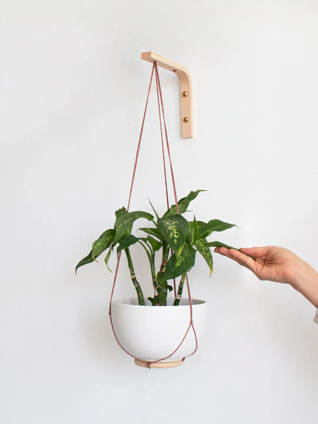 Wooden Plant Hook, Wall Hook For Hanging Plants, Wall Plant Hanger, Plant Hook Indoor, Wooden Hook Plant, Plants Wall Hanger