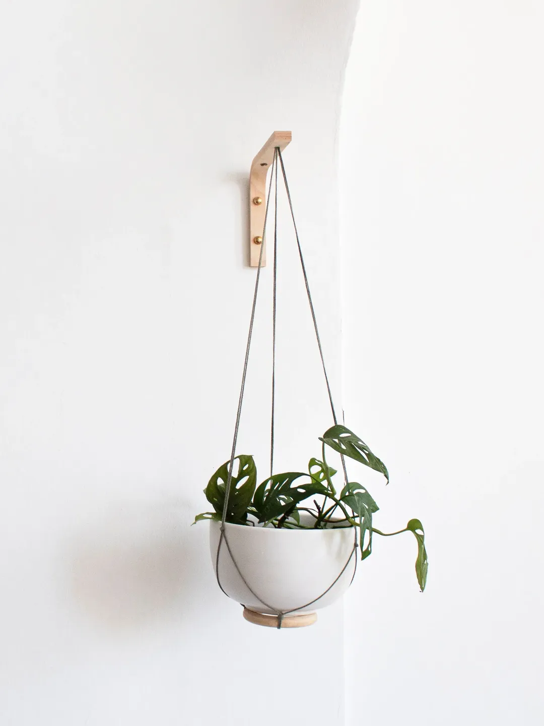 Wall Hook For Hanging Plants, Plant Holder Wall, Plant Hanger, Plants Holder, Wall Hook For Planter, Wooden Plant Hook, Plants Wall Hanger