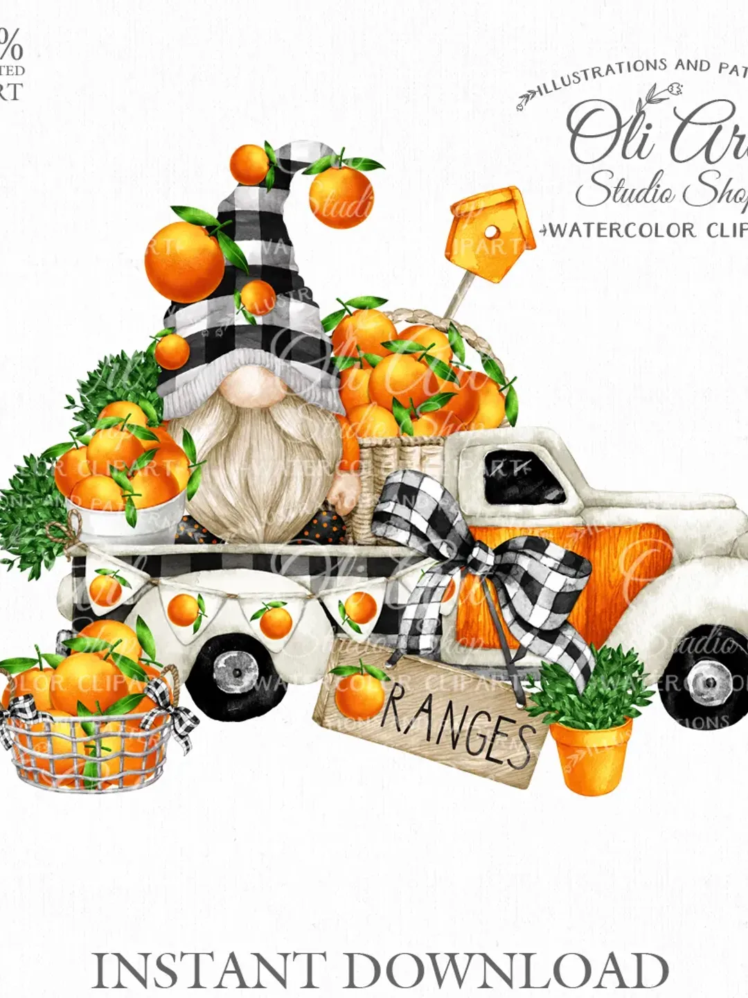 Truck With Oranges, Gnome Clipart. Hand Drawn Graphics, Instant Download. Digital Download. OliArtStudioShop
