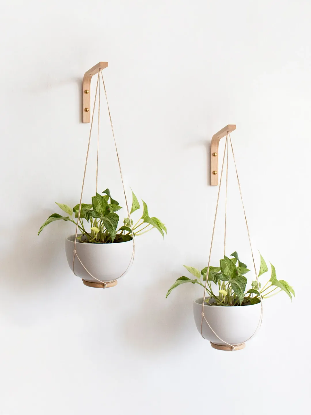 Two Wall Plant Hangers,  Wall Hooks For Hanging Plants, Wooden Plant Hanger, Plant Holder Wall, Wall Hook For Planter