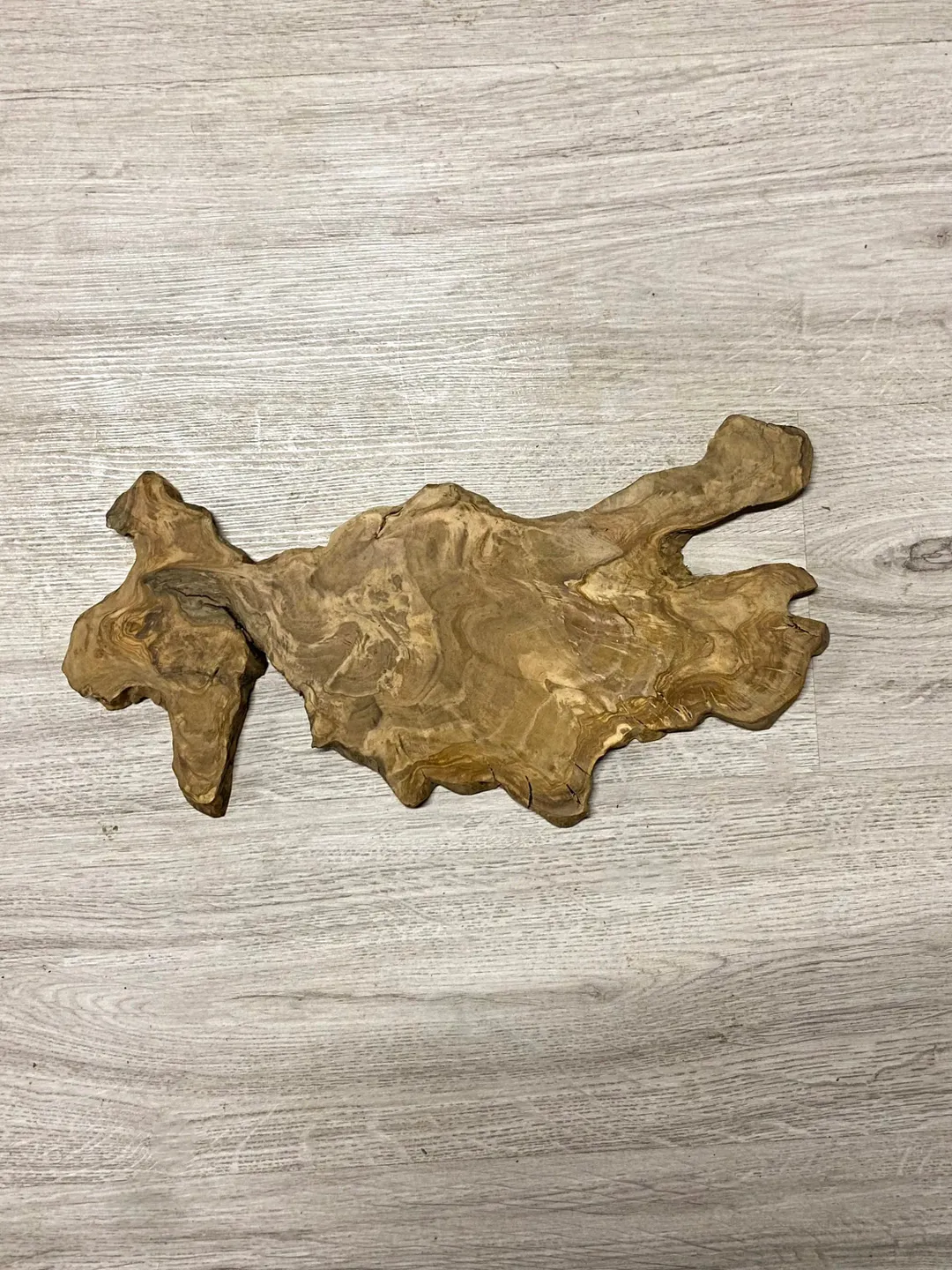 Live Edge Wood Slab, 16" Olive Wood Slab, Epoxy Resin Wood, Raw Wood