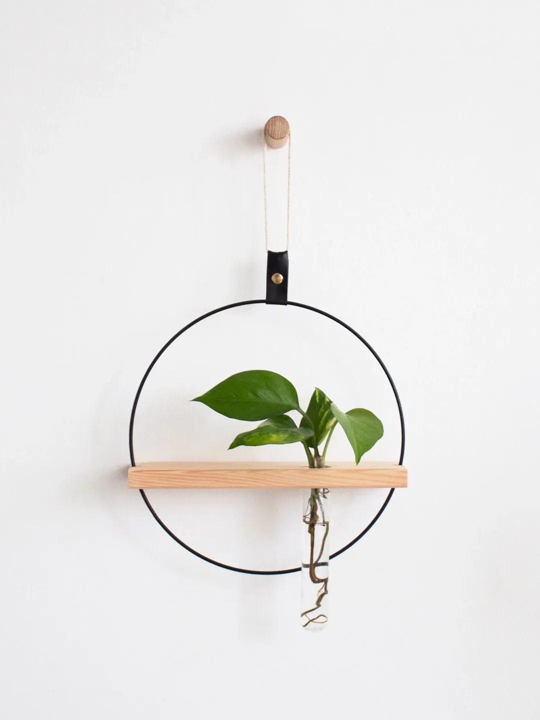 Plant Propagation Wall Hanging, Propagation Station Wall Hanging, Test Tube Plant Holder, Wall Propagation Planter, Propagation Shelf