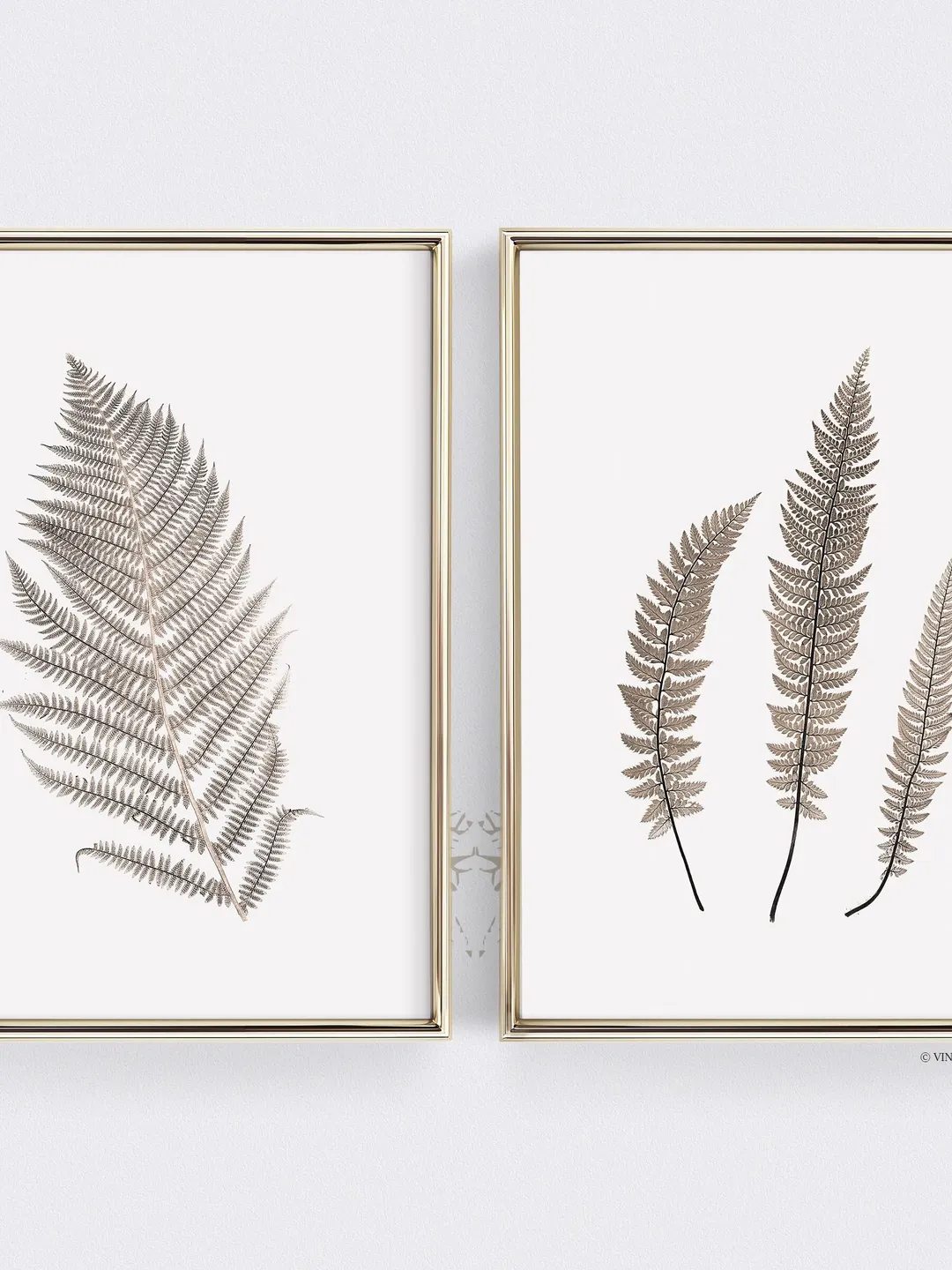 Vintage Digital Art Print Download Set of 2, Botanical Wall Decor, Fern Leaf Sketch Printable Downloadable | 334 S2
