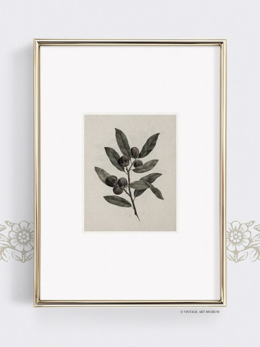 Olive Branch Minimalist Wall Art Print, Large Vintage Botanical Printable Decor, Digital Downloadable | 324