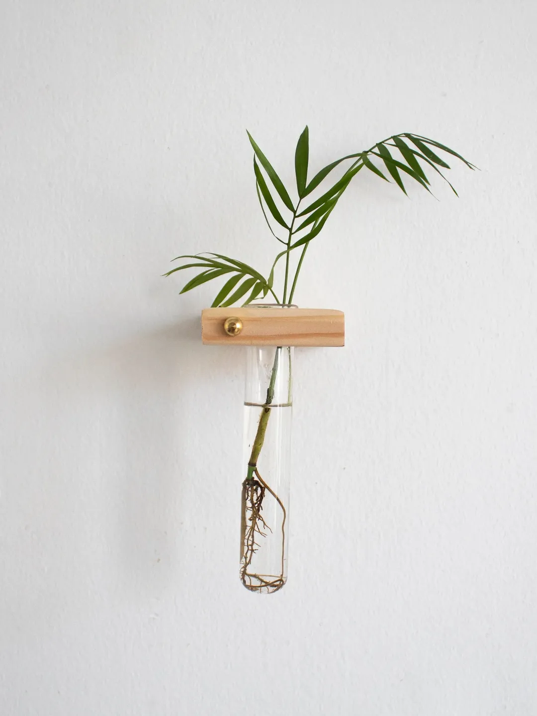 Plant Propagation Wall Hanging, Propagation Station Wall, Test Tube Planter, Wall Hanging Propagation, Wall Plant Hanger, Wall Plant Holder