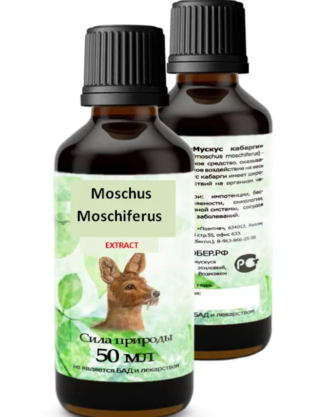 Musk Deer Moschus Moschiferus 50 ml (1.69 oz)