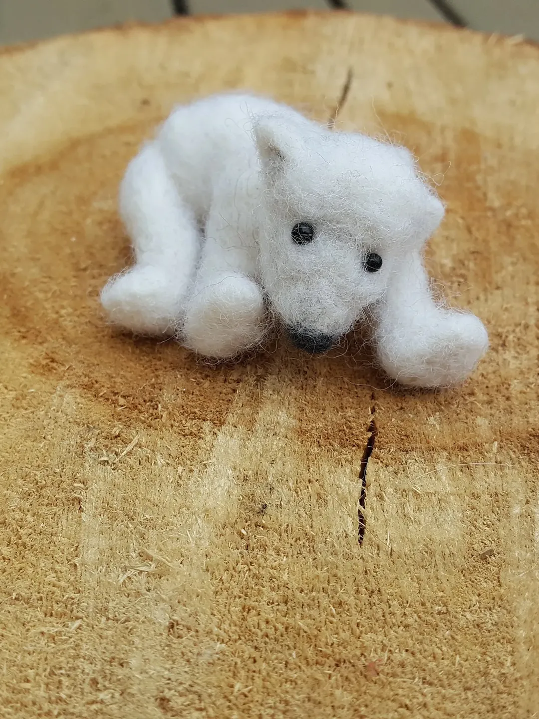 Felted baby polar bear with crow's eyes, fitting, bears, bear, wool
