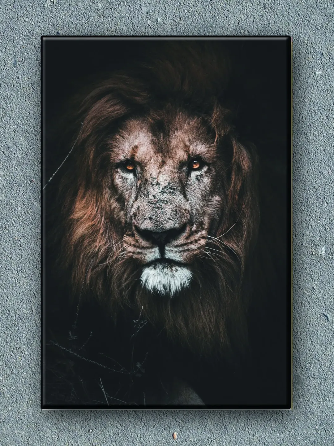 Lion Print on Canvas , Floating Frame Option, Modern Wall Art, Extra Large Canvas Wall Art
