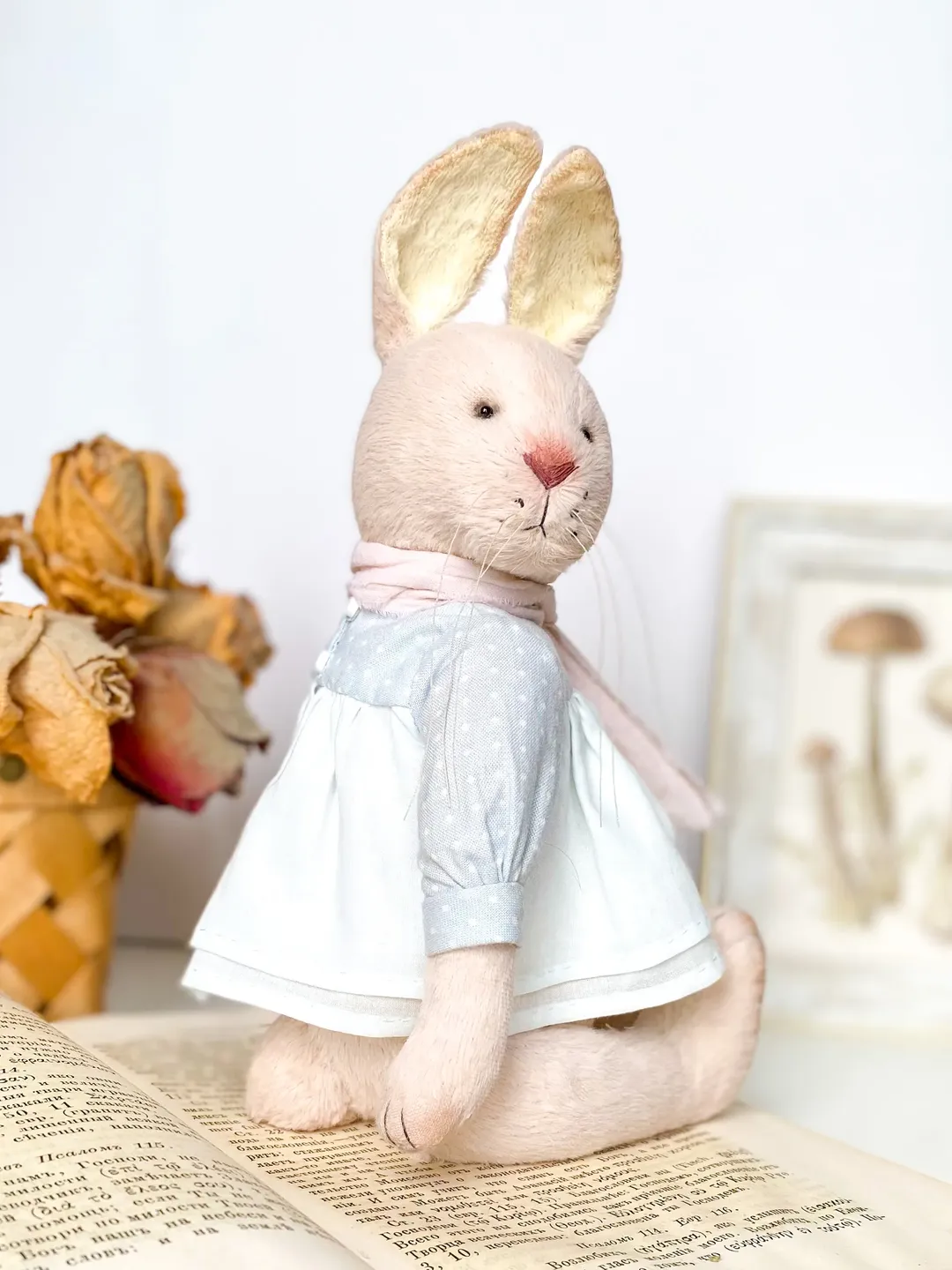 Teddy bunny, rabbit, cute bunny