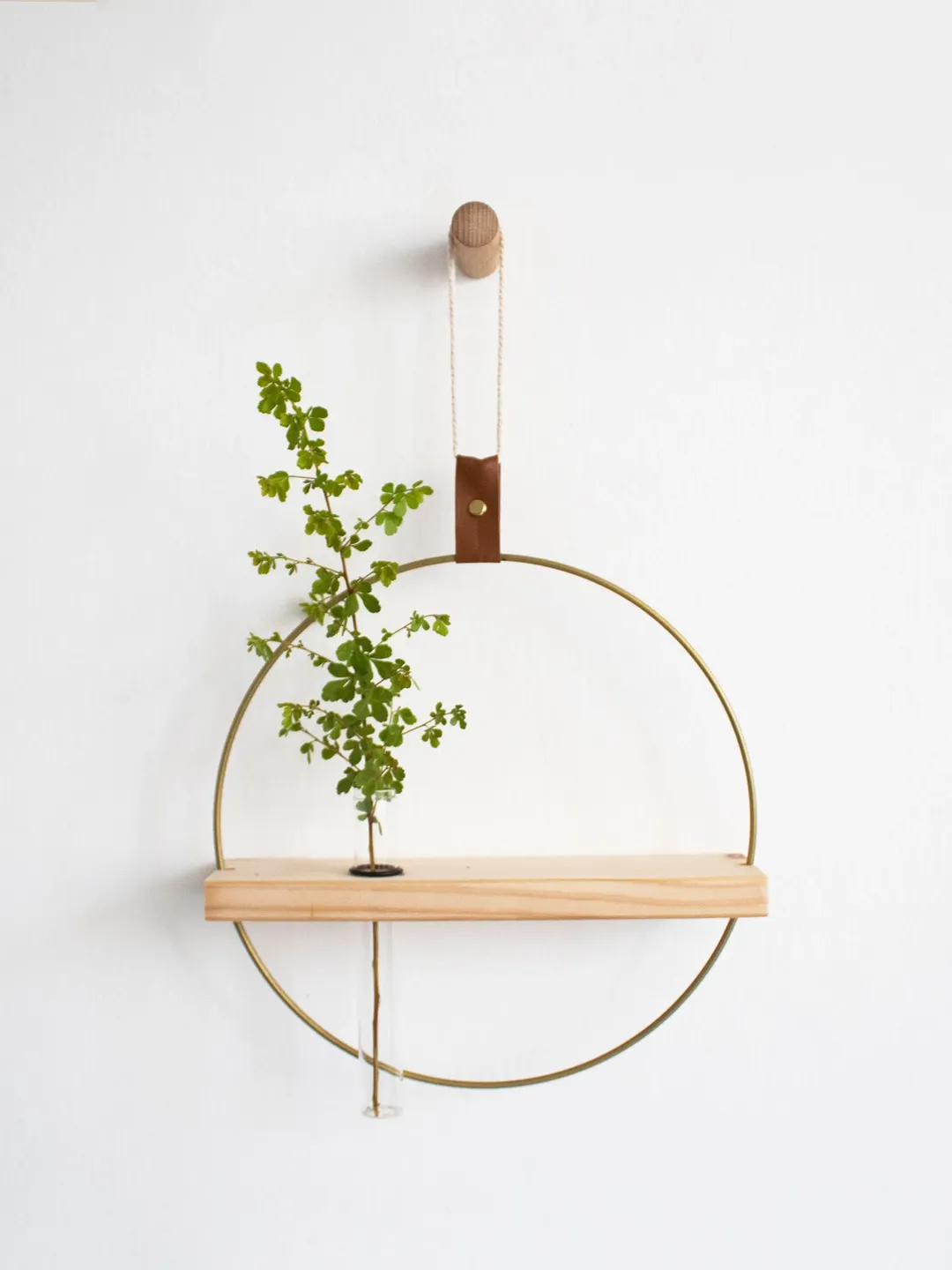 Wall Hook For Hanging Plants Propagation Station Wall Propagating Plant Holder Wall Plant Shelves plant holder