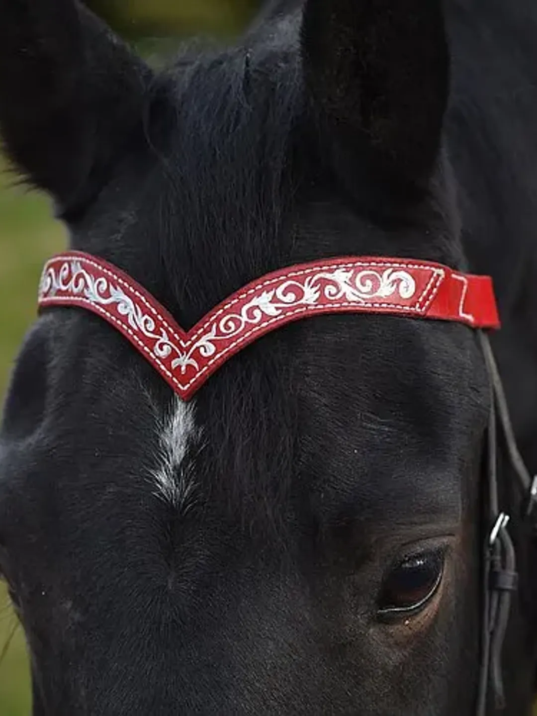 Red leather browband for horses draft pony. Handmade Brow band with hand-paint