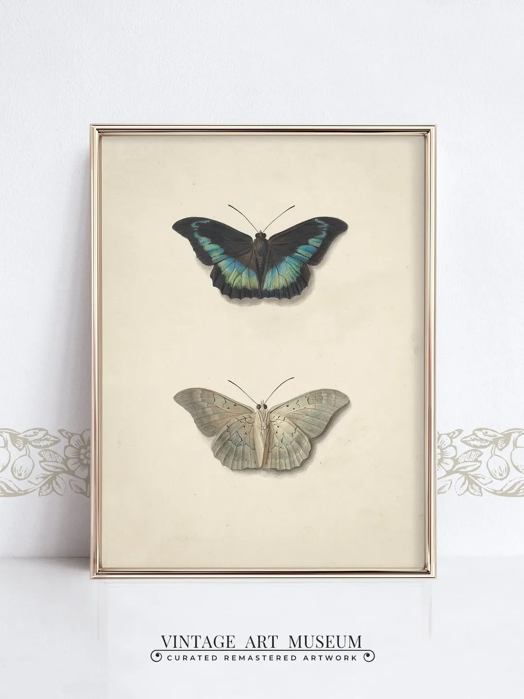Butterfly wall art Vintage Neutral Print, Antique Top and Bottom Butterfly Painting, PRINTABLE Downloadable Decor | 139