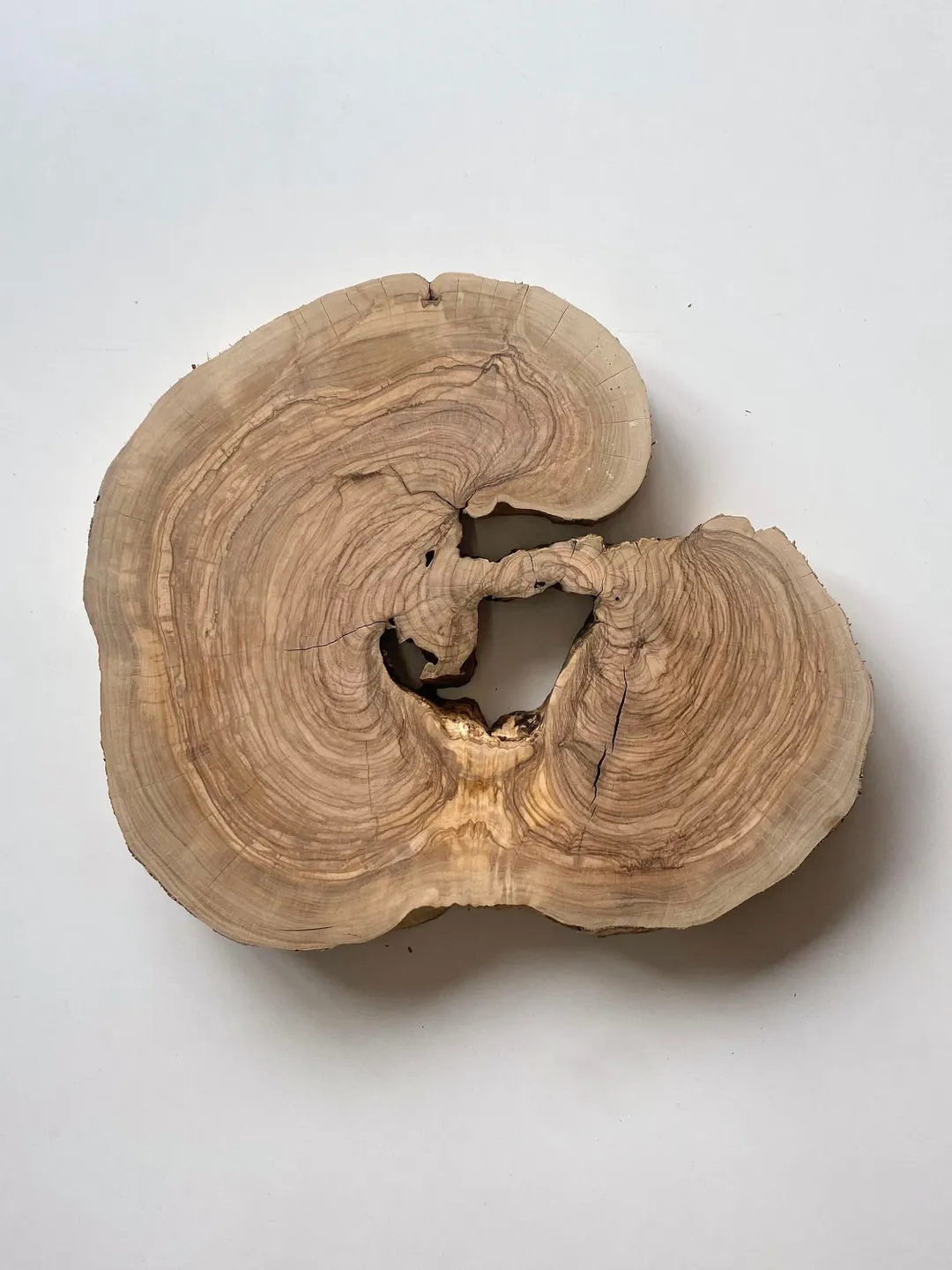 Live Edge Olive Wood Slab, 14x13x1.4 Tree Slice, Epoxy Resin Wood, DIY Wood Art, Wood Burl