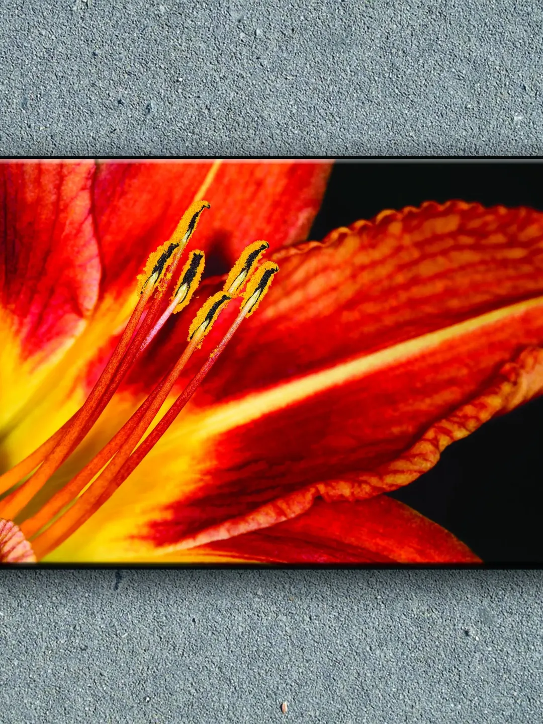 Flower Print on Canvas , Floating Frame Option, Modern Wall Art, Extra Large Canvas Wall Art