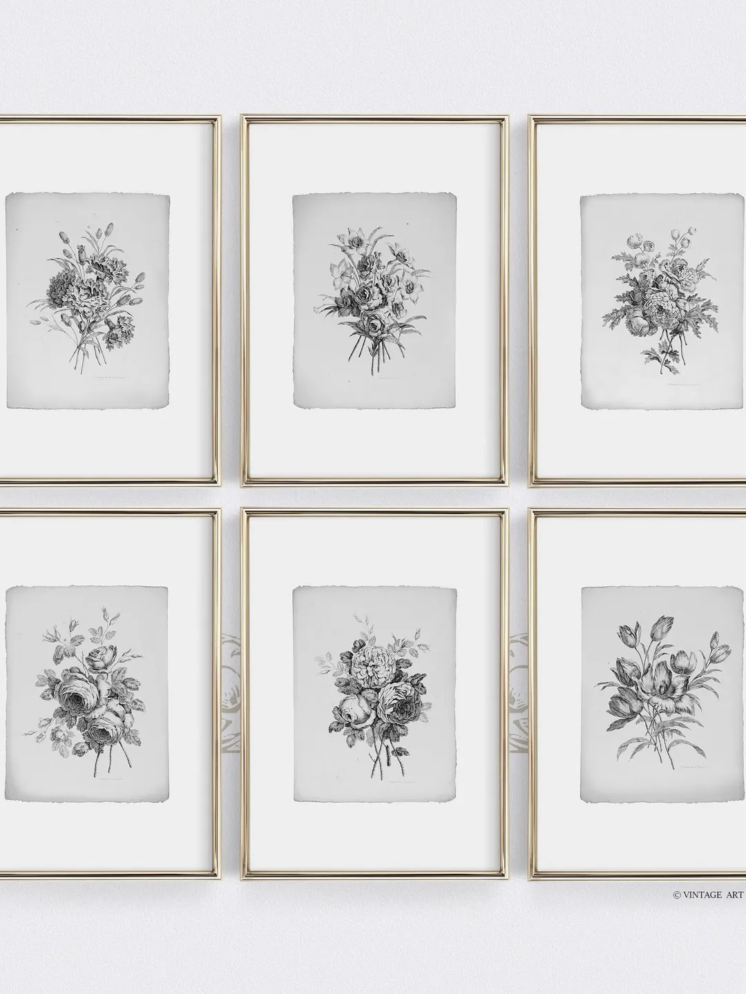 Botanical Sketches Gallery Wall Set of 6 Vintage Prints, Floral Downloadable Printable Art, French Decor | S6-1