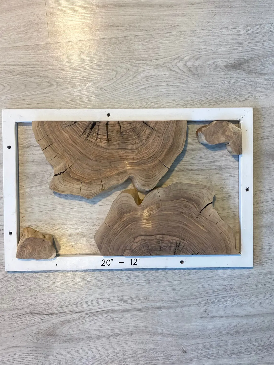 Live Edge Wood Slab, 20" Olive Wood Slab, Epoxy Resin Wood, Raw Wood