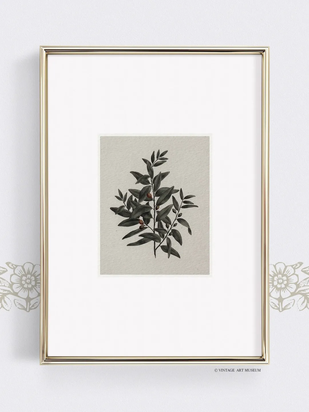 Vintage Botanical Print, Antique African Sandalwood Watercolor, Farmhouse Digital Decor, Printable Art | 359