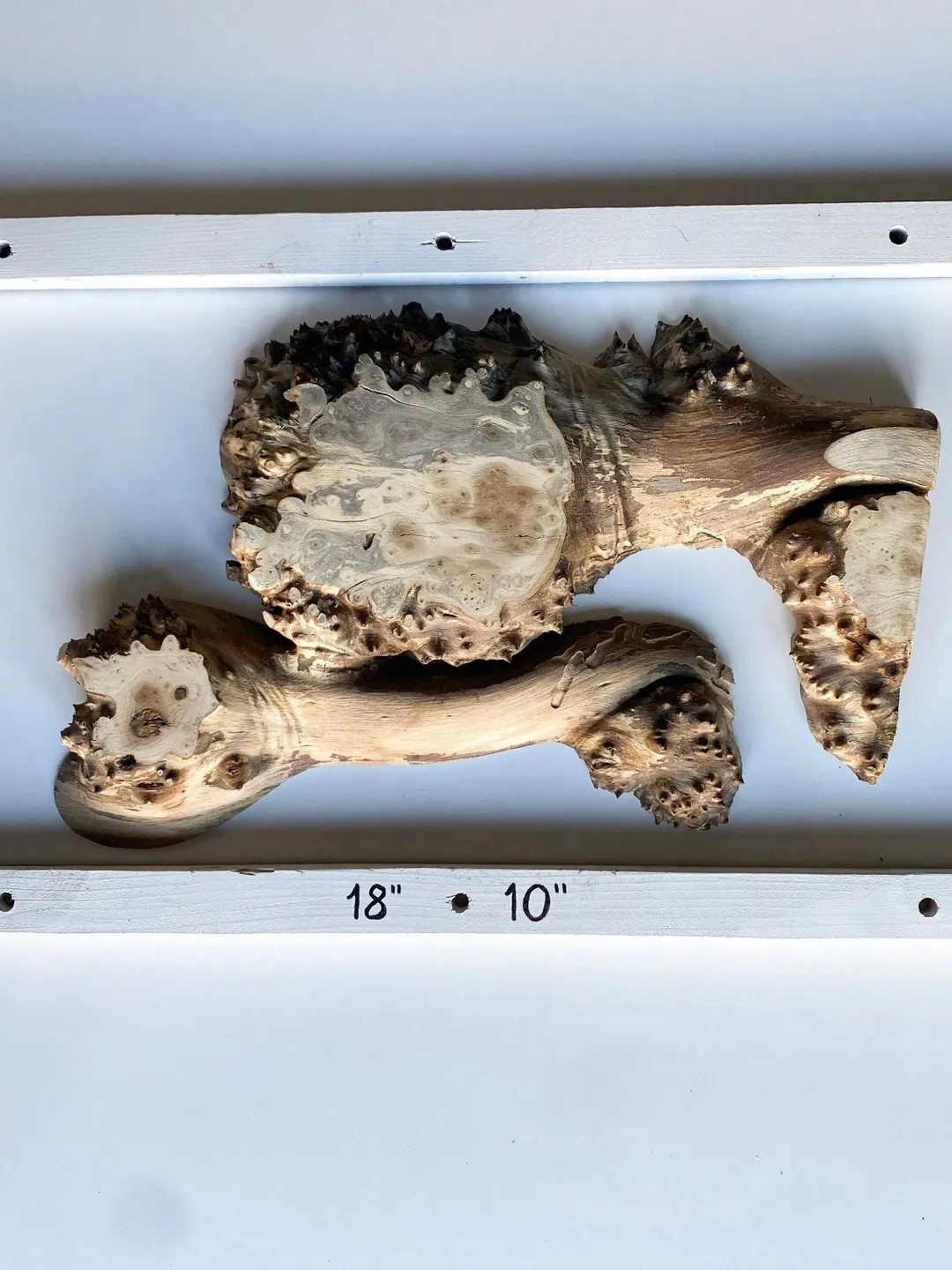 Silverberry Wood Blank Slab, Live Edge Wood Slab, Epoxy Resin Wood, Raw Edge Wood