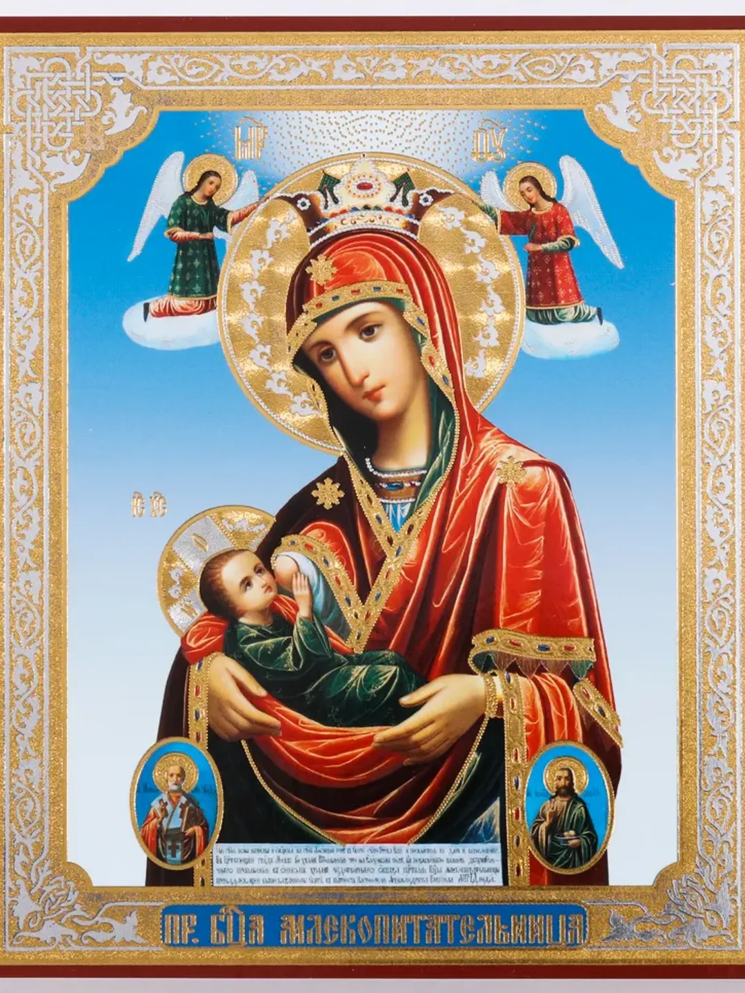 Icon of the Theotokos the "Milk-Giver" | Orthodox gift | free shipping from the Orthodox store