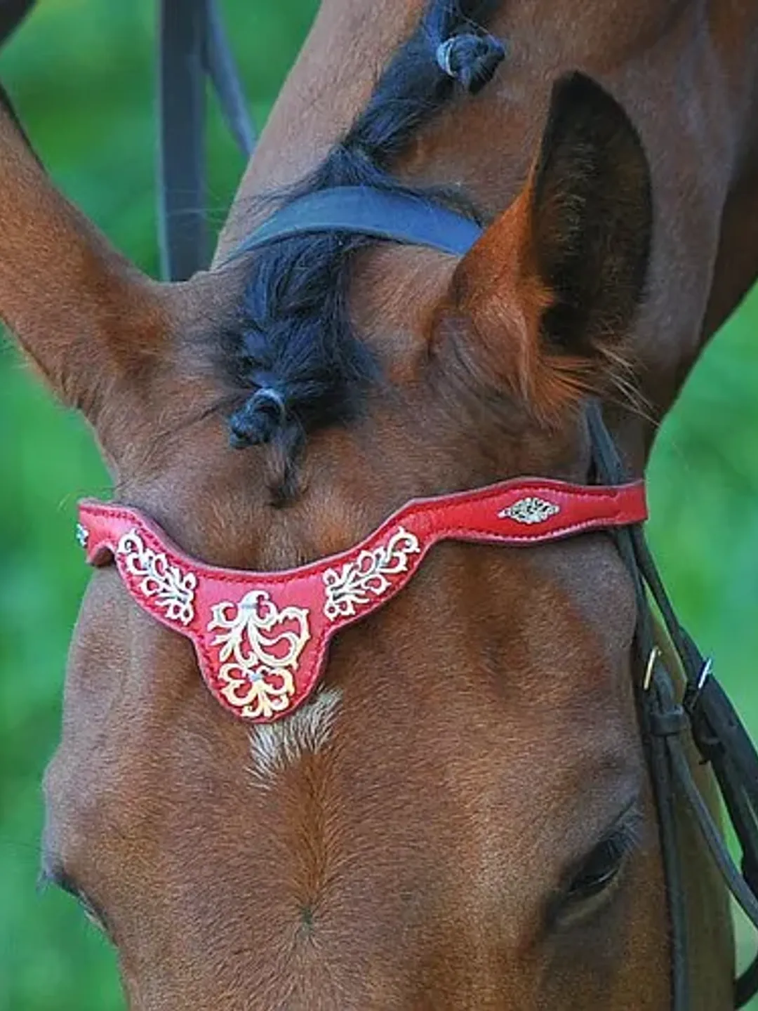 Browband for horses Handmade pony draft brow band Red horse tack Custom size