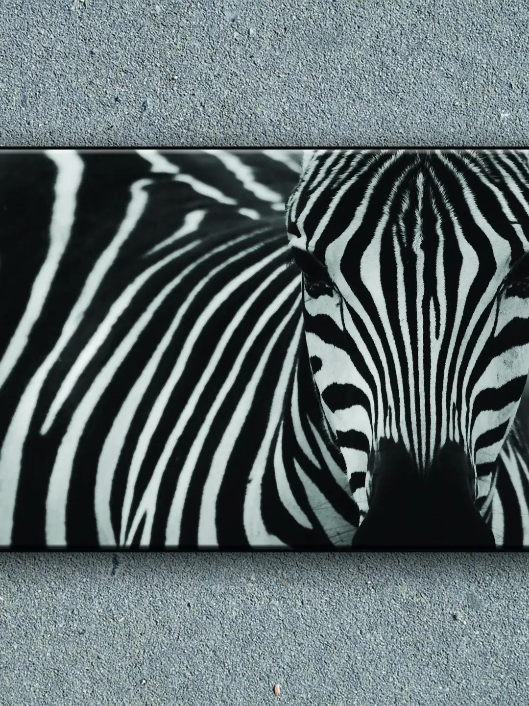 Zebra Print on Canvas , Floating Frame Option, Modern Wall Art, Extra Large Canvas Wall Art
