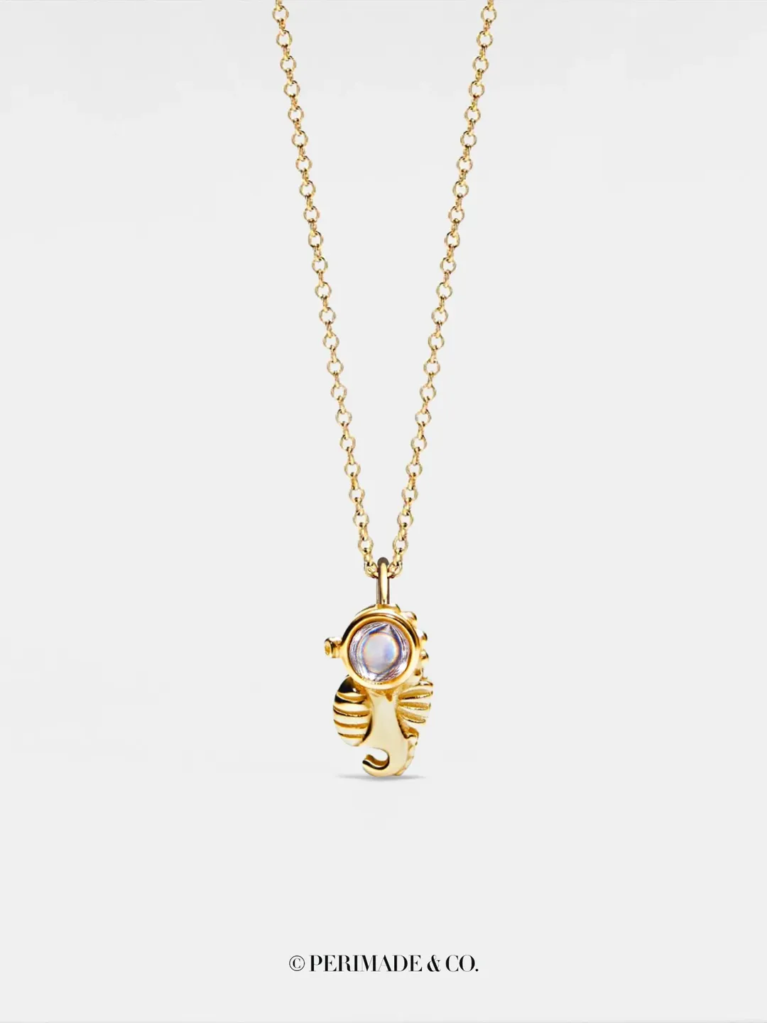 PERIMADE Seahorse Photo Projection Necklace • Customized Picture Inside Pendant • Minimalist Pet Memorial Jewelry • Trendy Best Friend Gift