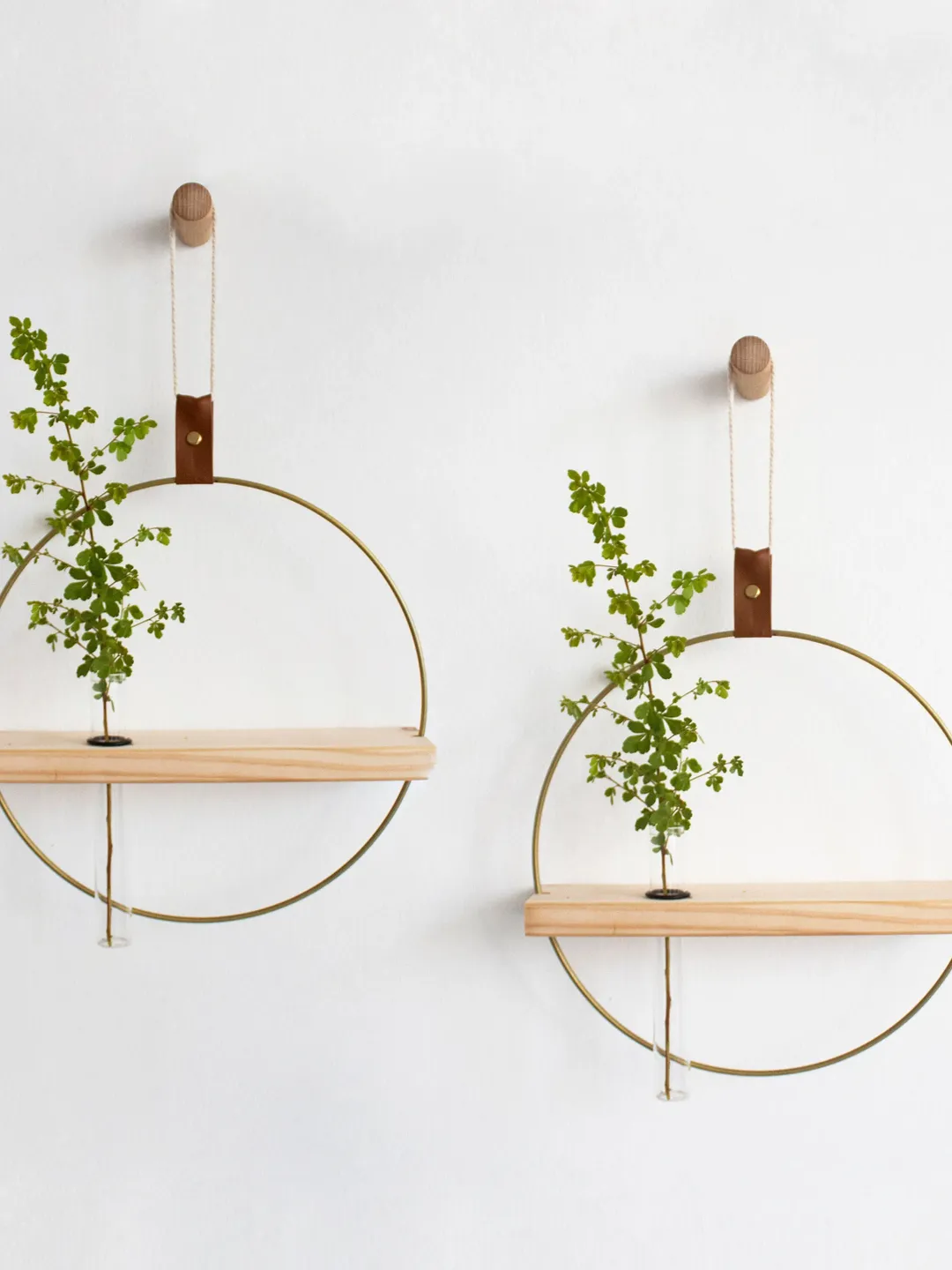 Two Propagating Shelves, Propagation Station Wall Hanging, Test tube Planter, Wall Propagation planter, Shelves For Dried Flowers