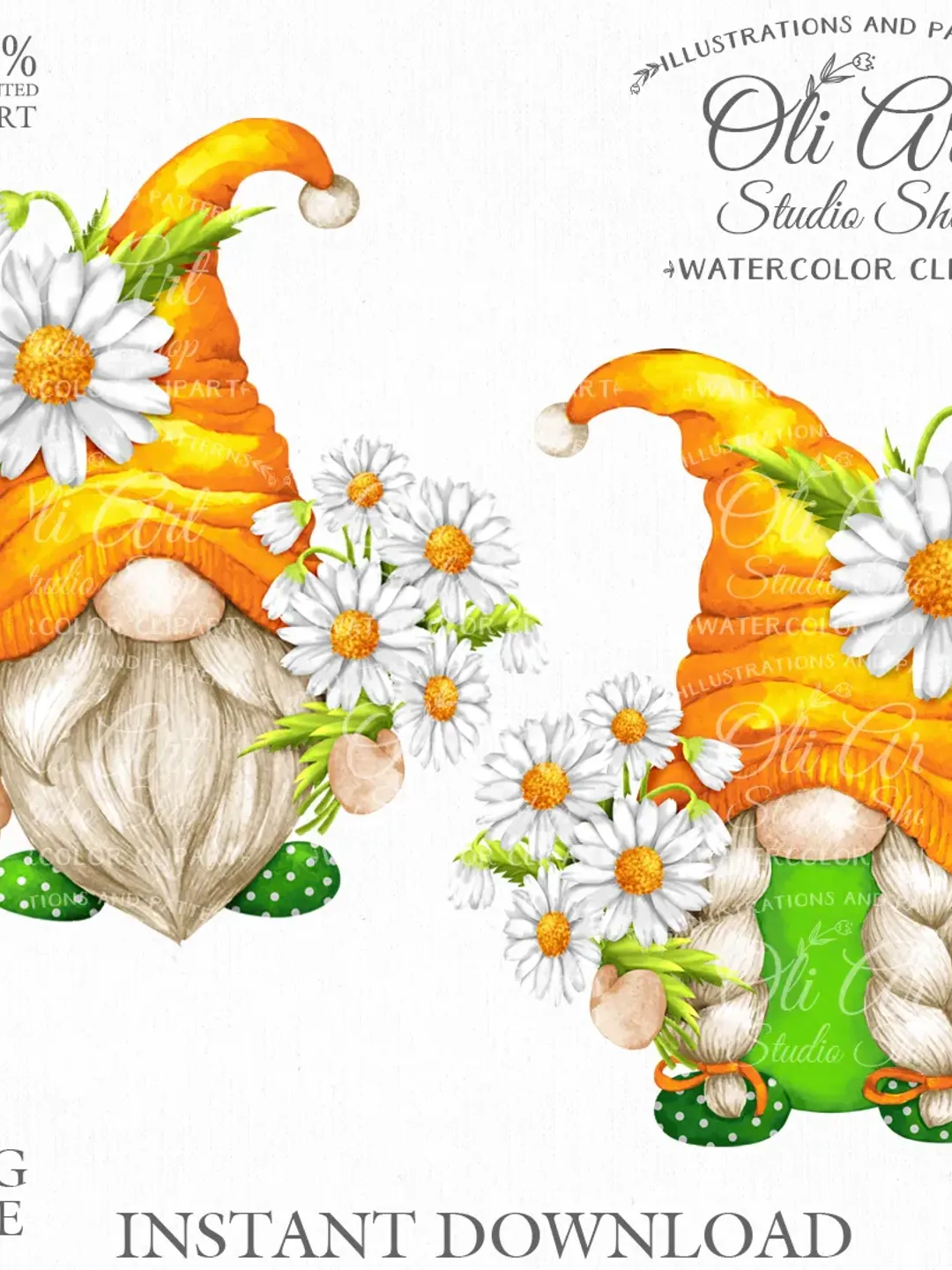 Chamomile Gnomes Clip Art. Cute Characters. Hand Drawn graphics. Digital Download. OliArtStudioShop