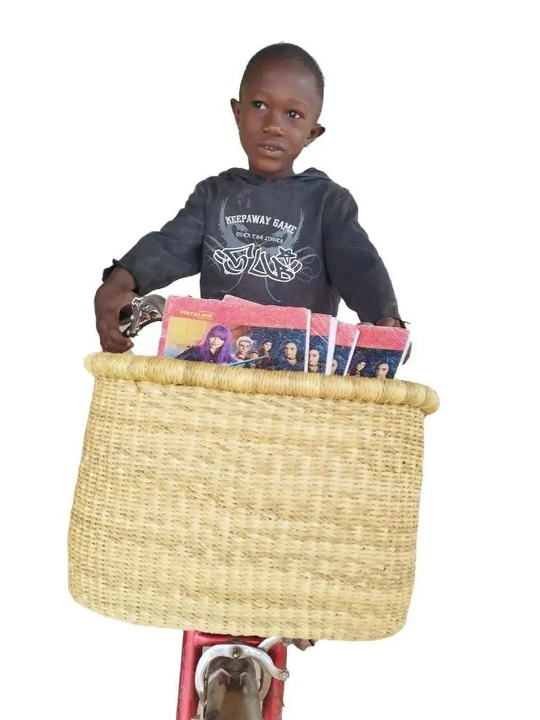 Bike Basket | Bike Accessories | Bicycle Basket | Bike Basket Dog | Basket For Bicycle | Bike Bag | Bike Front Basket | Bike pannier