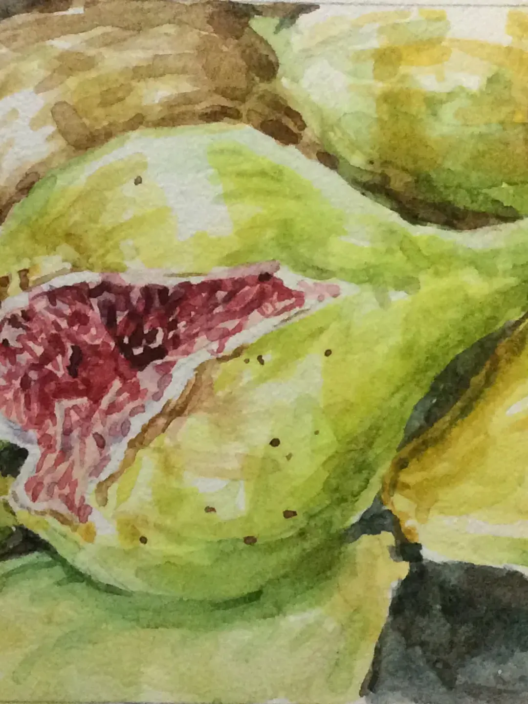 "ACEO Figs" watercolor original wall art painting fruit still life picture