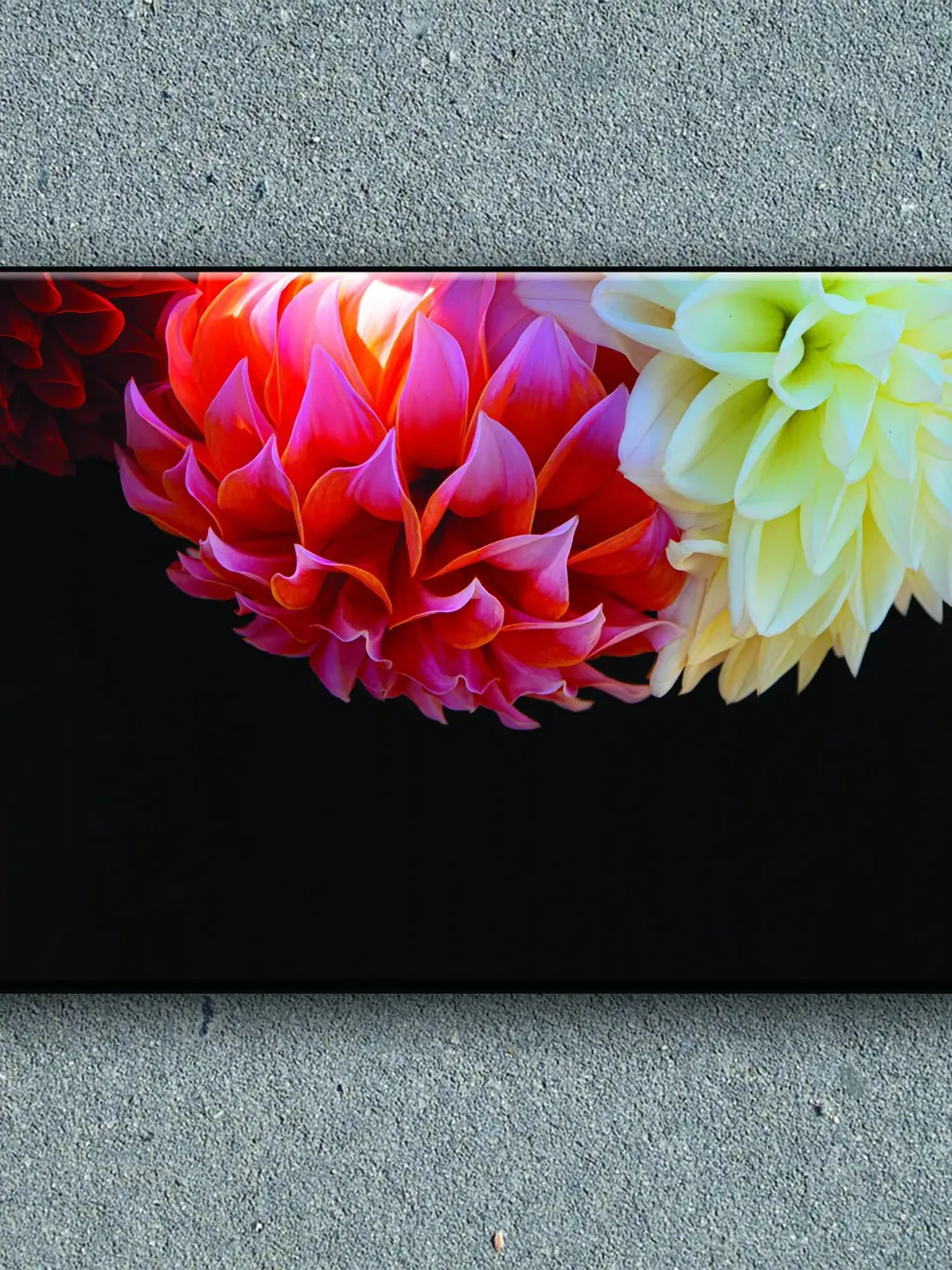 Flower Print on Canvas , Floating Frame Option, Modern Wall Art, Extra Large Canvas Wall Art