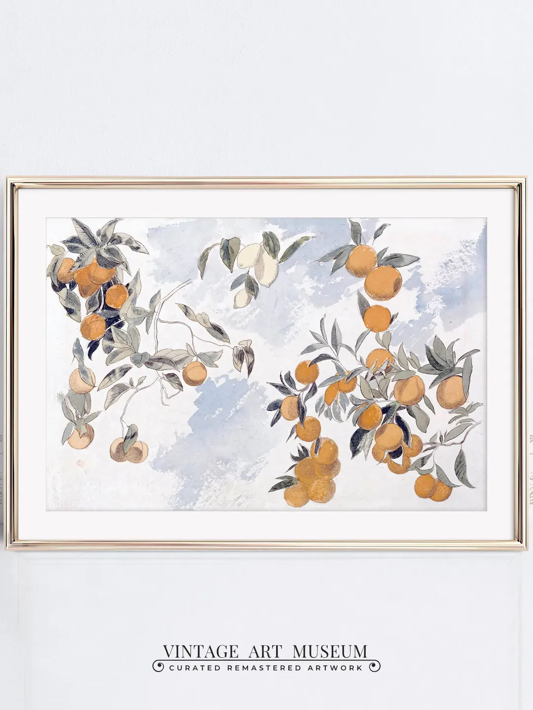 Lemon Tree Watercolor Vintage Wall Art Print, Large Lemon Painting, Printable Digital Downloadable Wall Decor | 197